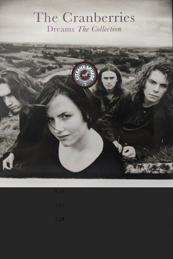 洋楽 the cranberries / dreams cd2 The Cranberries - Dreams: The Collection (Best Of) [Vinyl