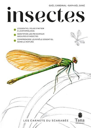 De la biodiversité et des insectes comestibles 