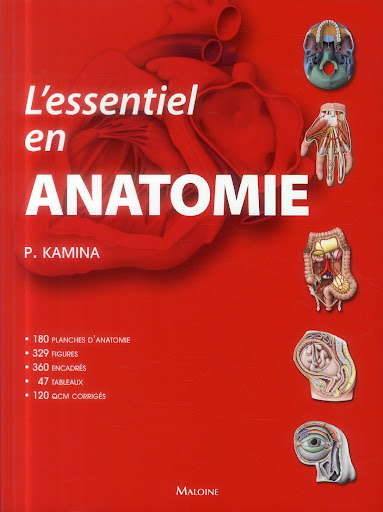 L'INCONTOURNABLE DE L'ANATOMIE