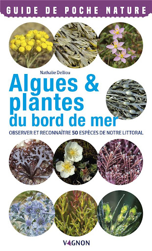 EN IMAGES. La biodiversité du littoral﻿ : reconnaître les algues et les  plantes, c'est facile