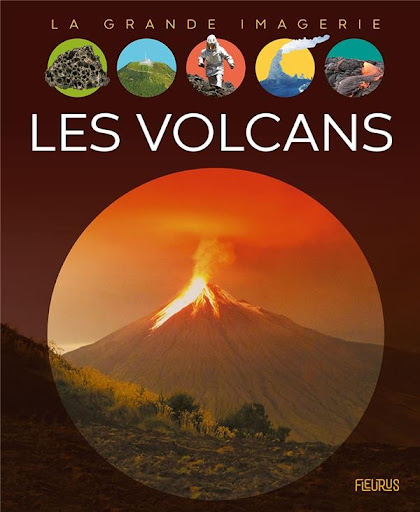 Autour du Volcan - L'Arbre à Café