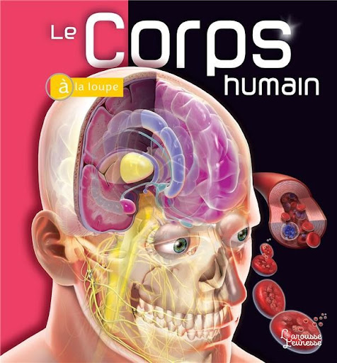 Corps humain, squelette et organes – Média LAROUSSE