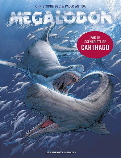 Requin Mégalodon Jouet | Petit Requin Blanc