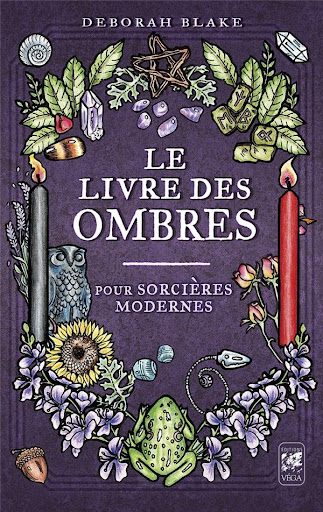 Livre le grimoire de l'apprentie sorcière